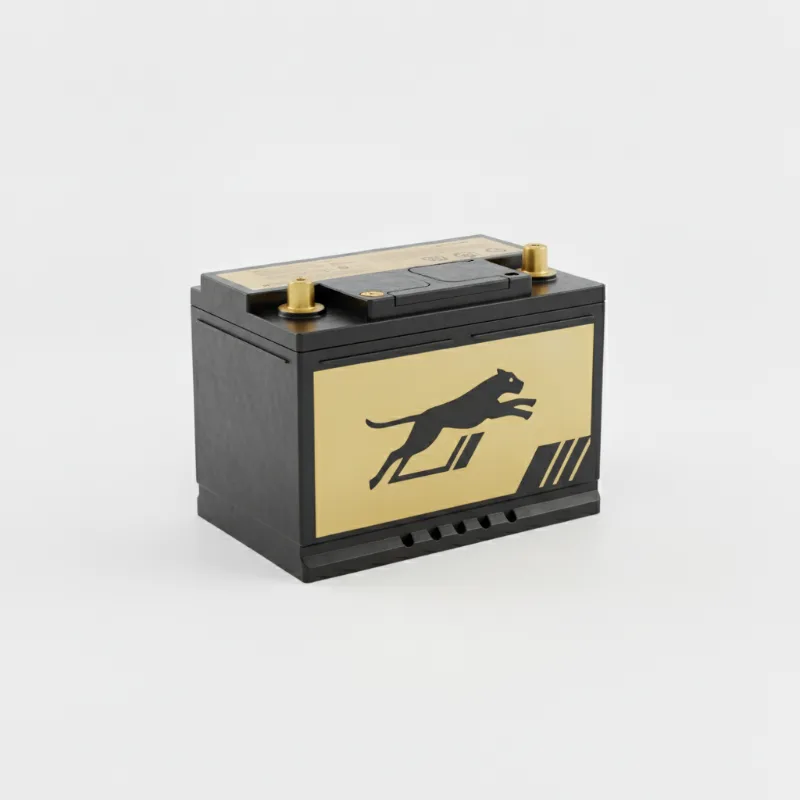 PUMA Gold & Black